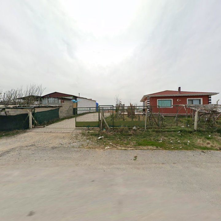 Fotoğraf 7
