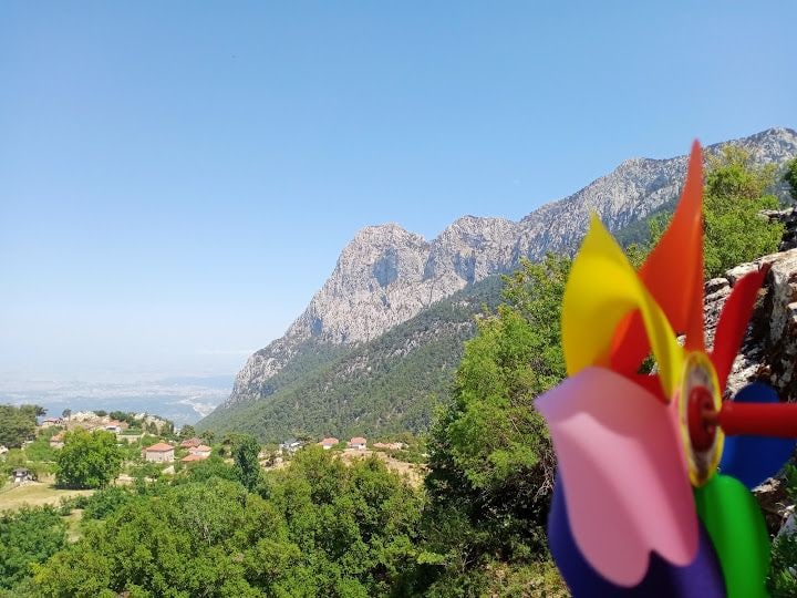 Fotoğraf 7