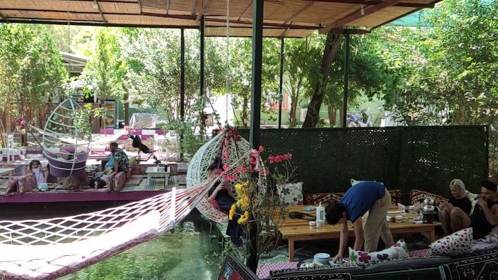 Fotoğraf 6