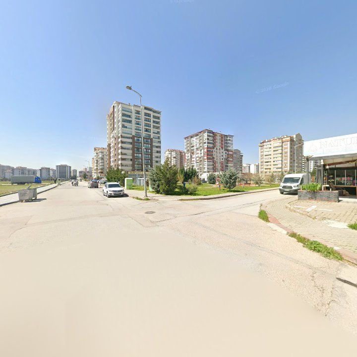 Fotoğraf 7