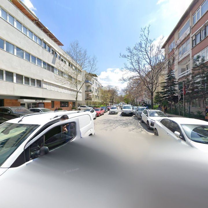 Fotoğraf 12