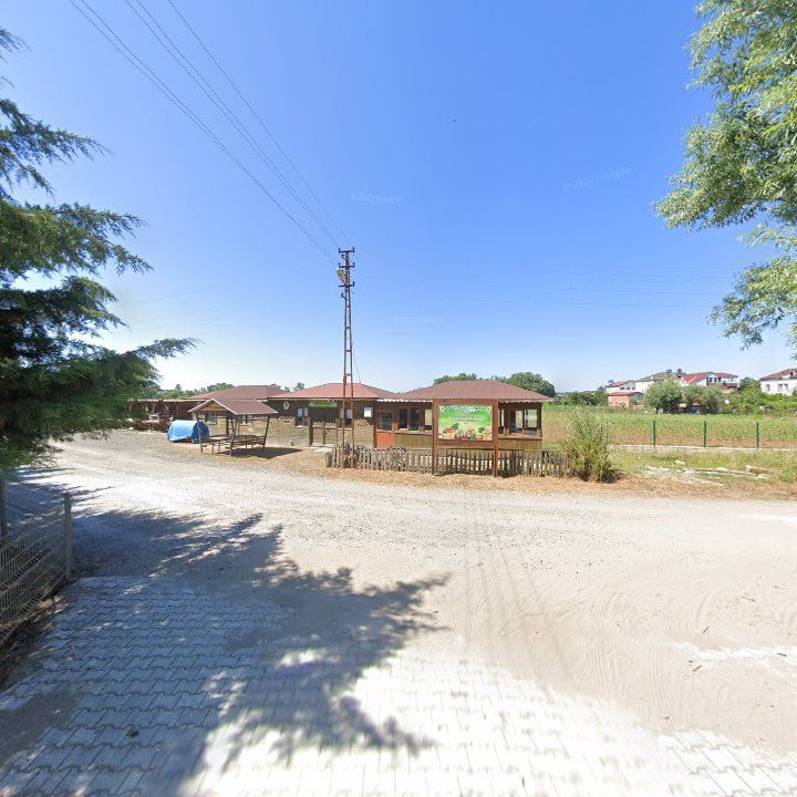 Salep Evi