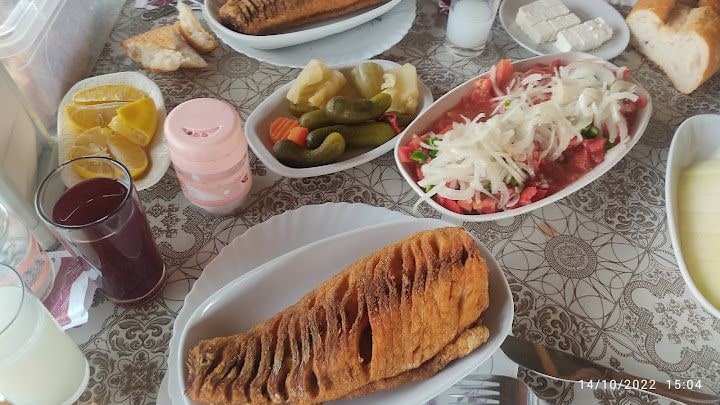 Salih'in Yeri