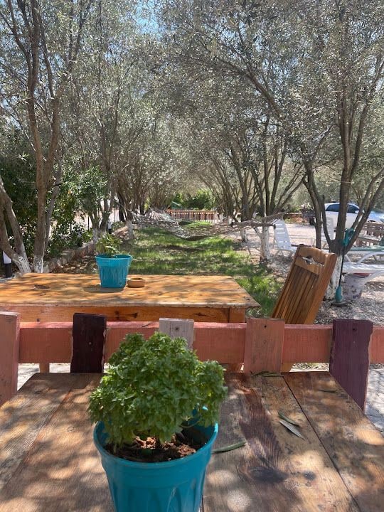 Salih Yaman Fırın Kafe