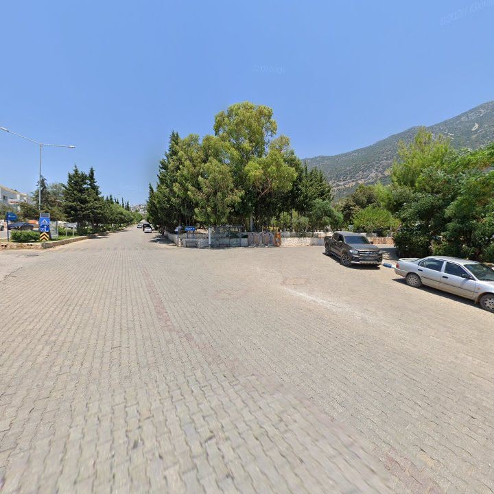 Fotoğraf 7