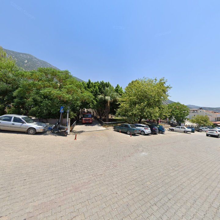 Fotoğraf 8