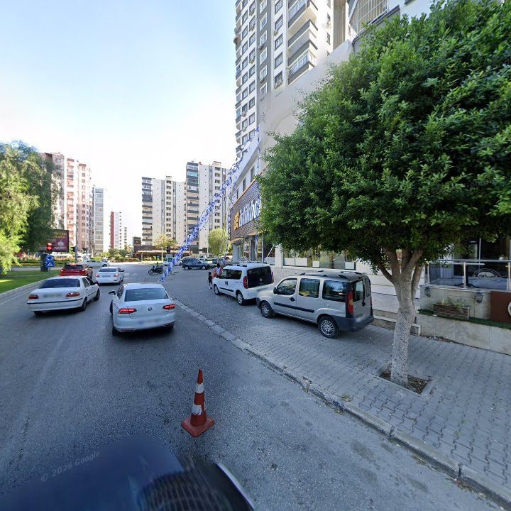 Fotoğraf 12