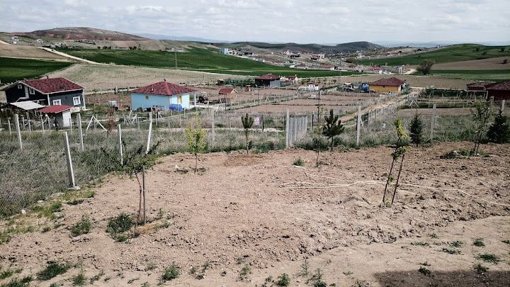 Salim’in Yeri