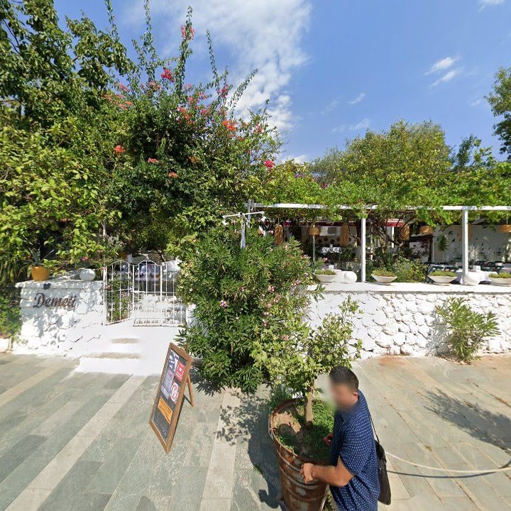 Fotoğraf 11