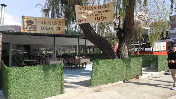 Salkım Söğüt Lokantası