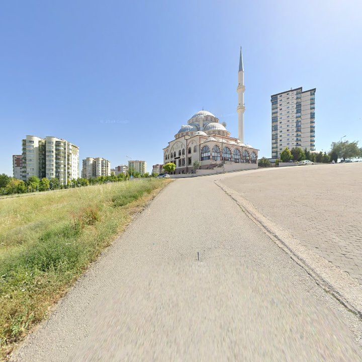 Fotoğraf 6