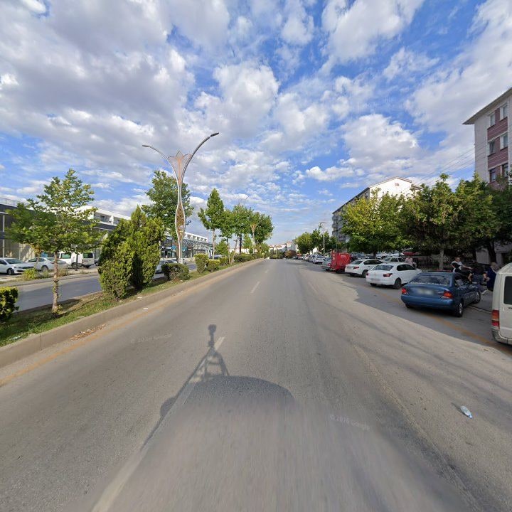 Fotoğraf 7