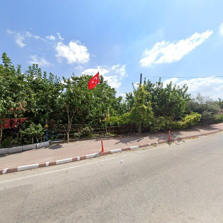 Fotoğraf 6