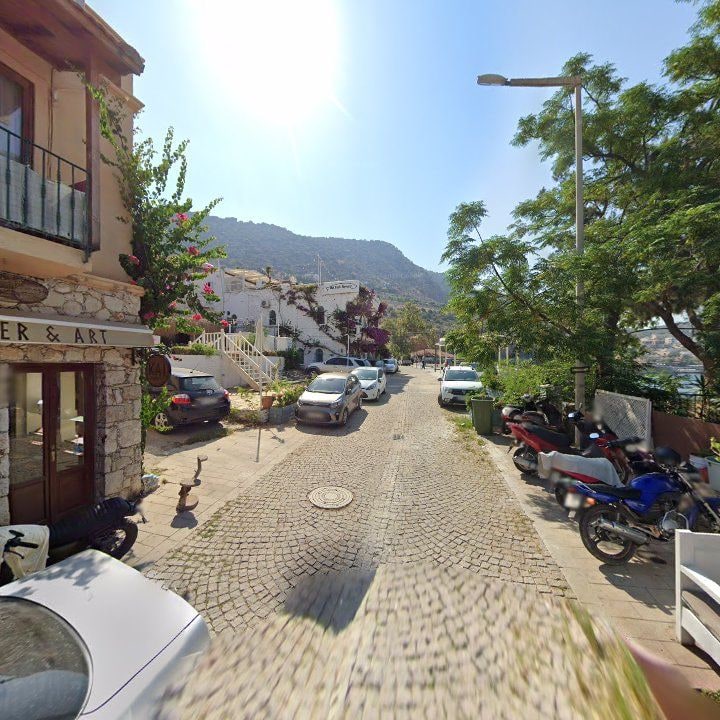 Fotoğraf 11