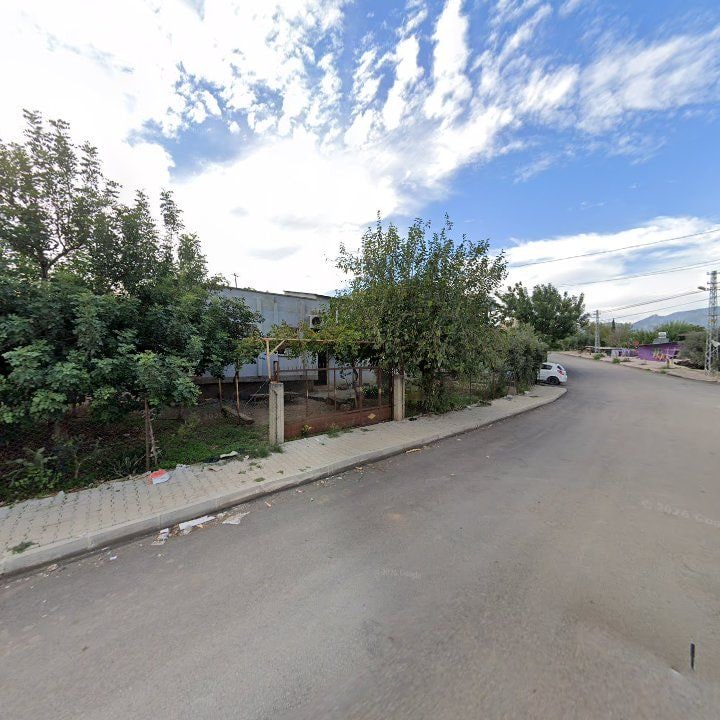 Fotoğraf 8