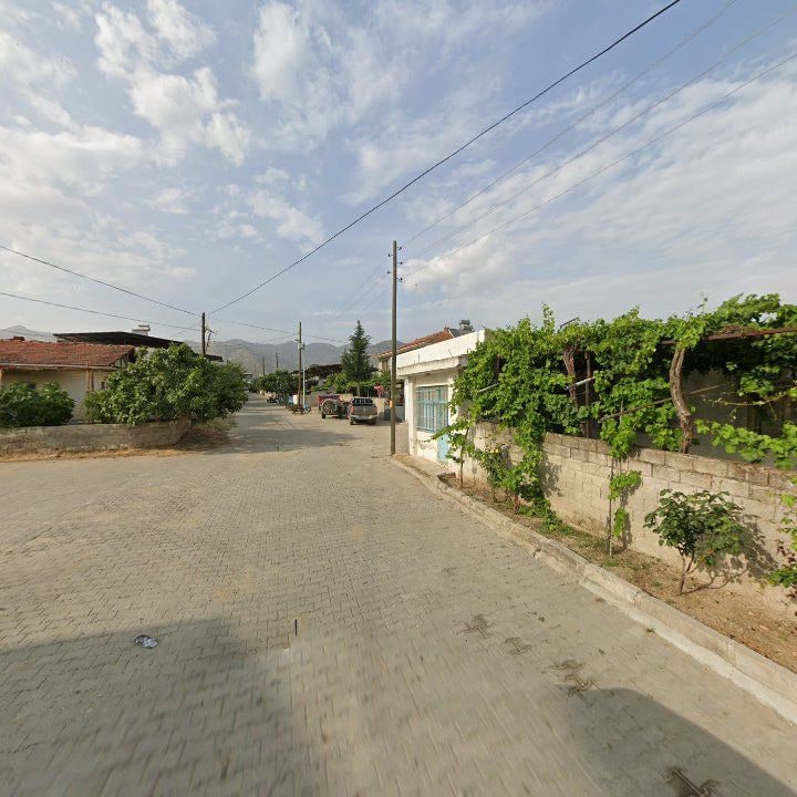 Fotoğraf 9