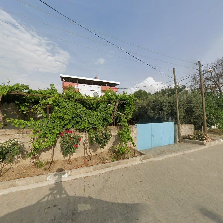 Fotoğraf 6