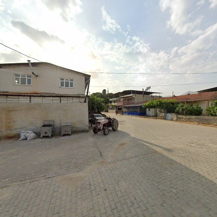Fotoğraf 8