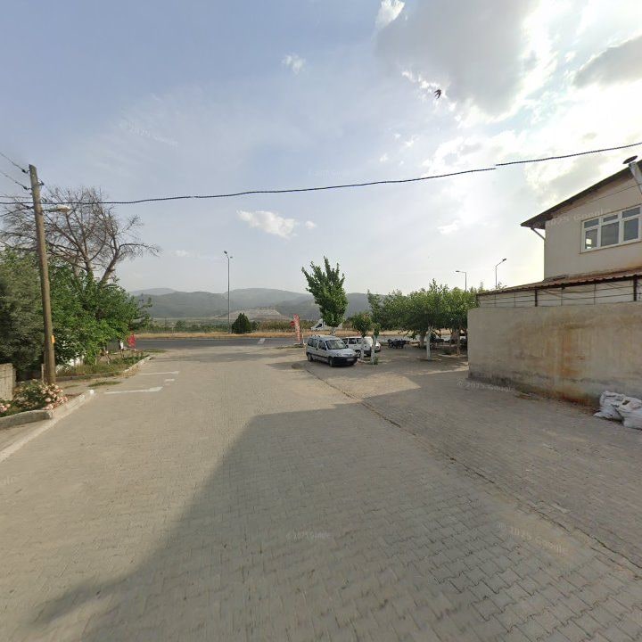 Fotoğraf 7