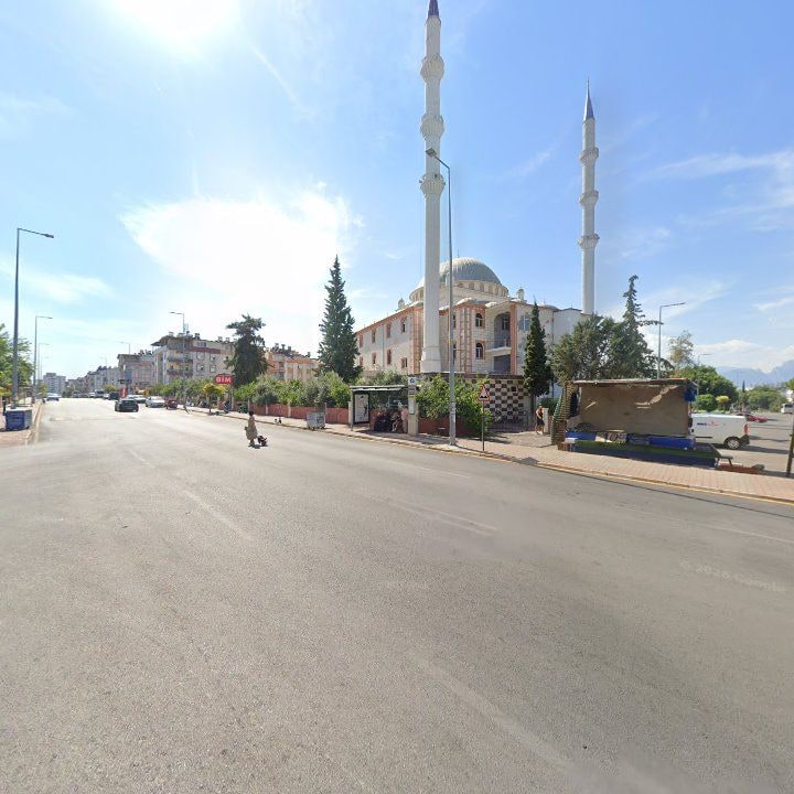 Fotoğraf 8