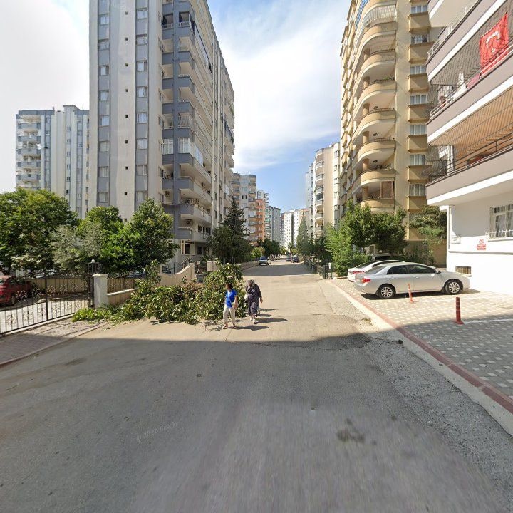 Fotoğraf 10