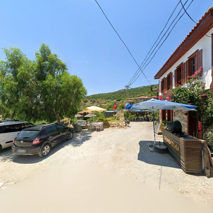 Fotoğraf 14