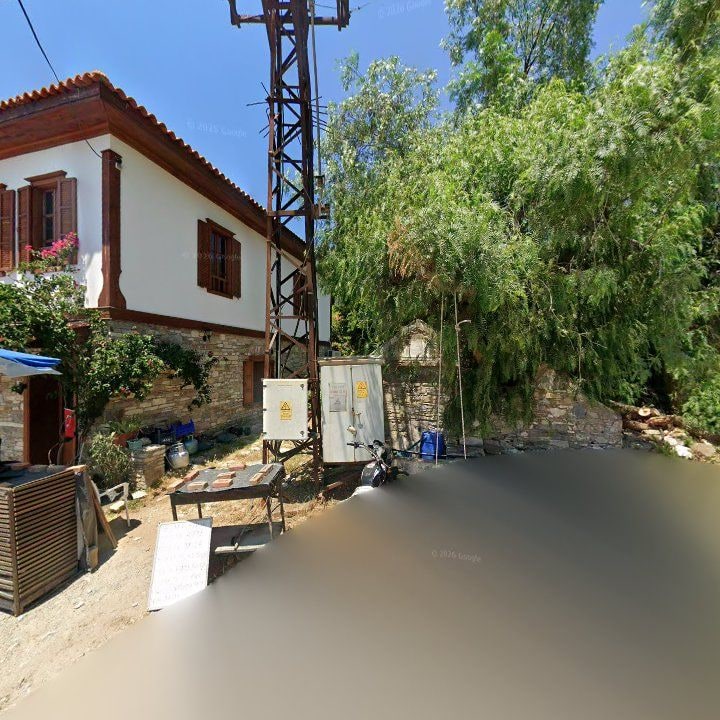 Fotoğraf 11