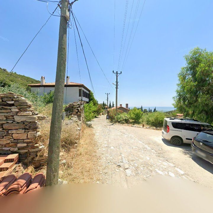 Fotoğraf 13