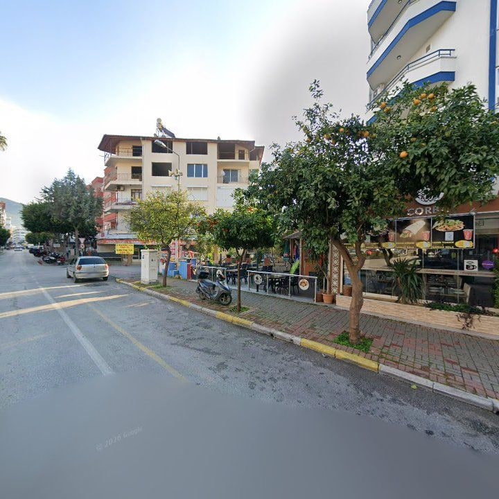 Fotoğraf 8
