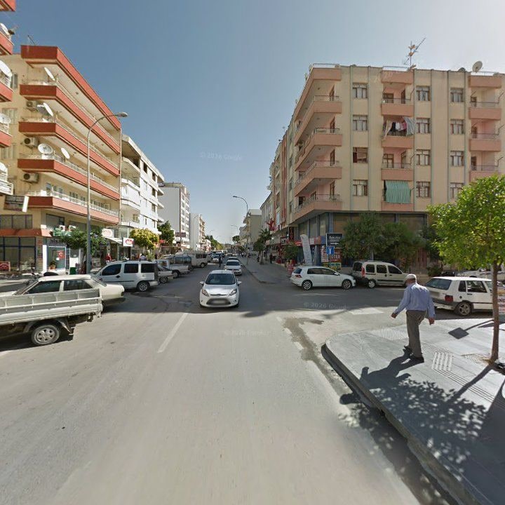 Fotoğraf 8