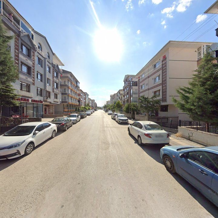Fotoğraf 9