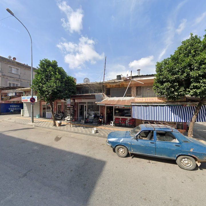 Fotoğraf 9