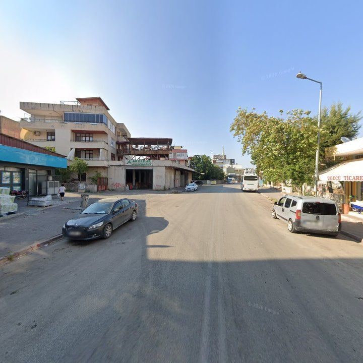 Fotoğraf 10