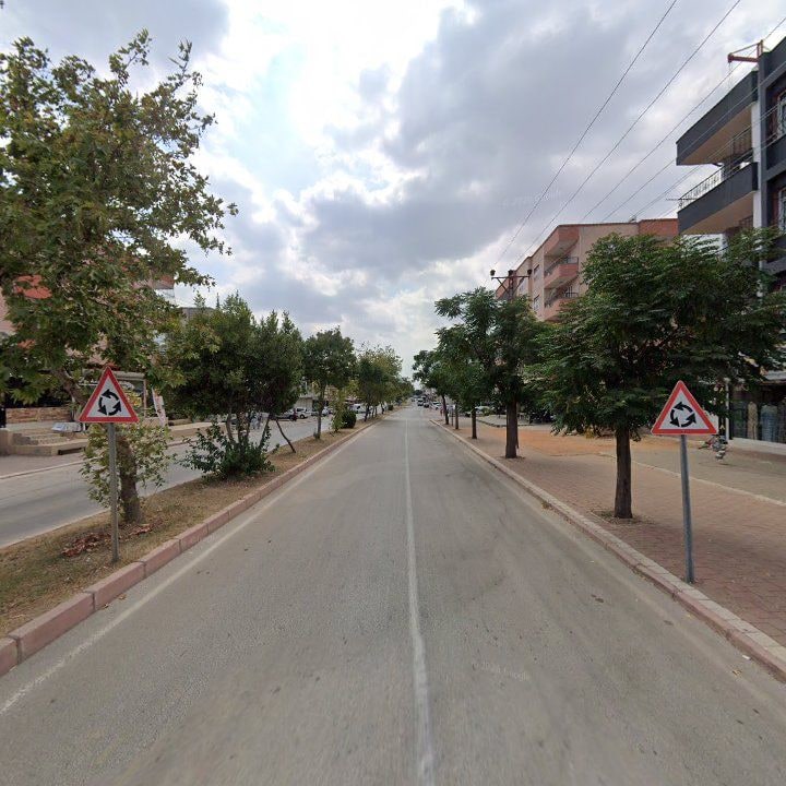 Fotoğraf 7