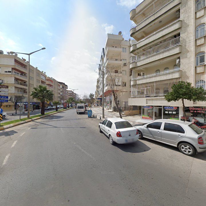 Fotoğraf 7
