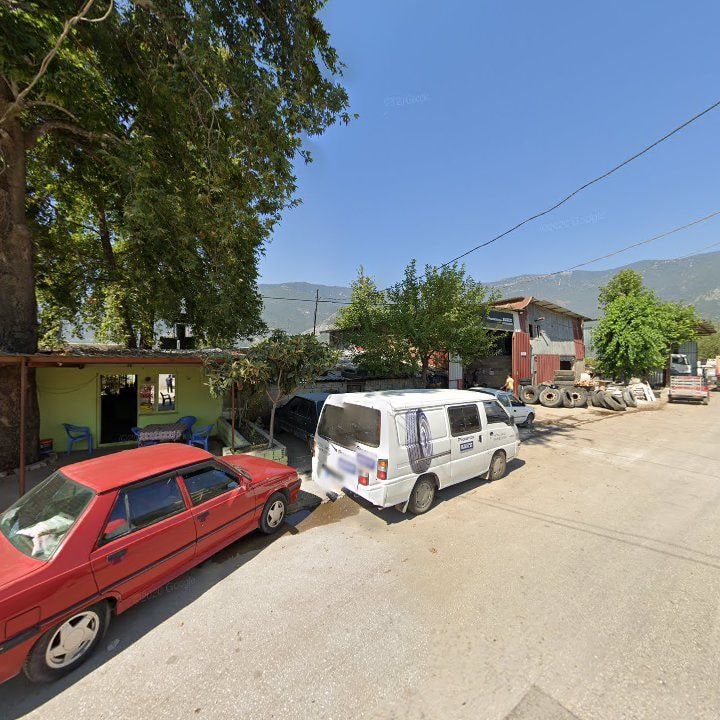 Fotoğraf 4