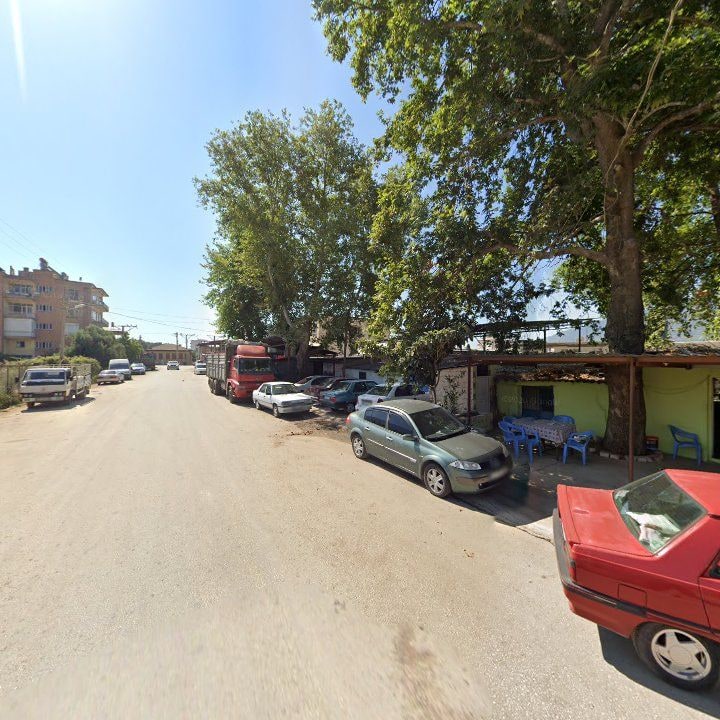 Fotoğraf 3