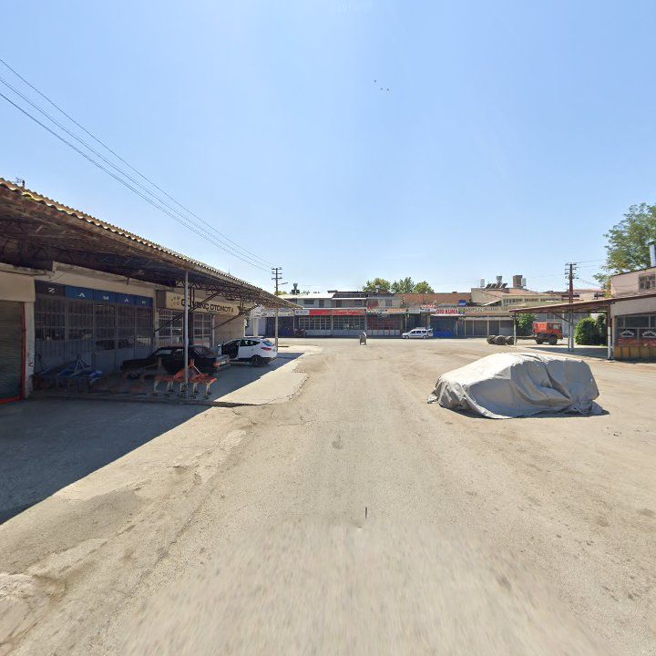 Fotoğraf 9