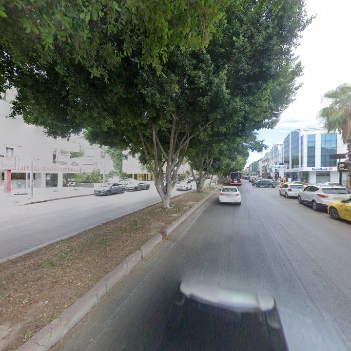 Fotoğraf 12