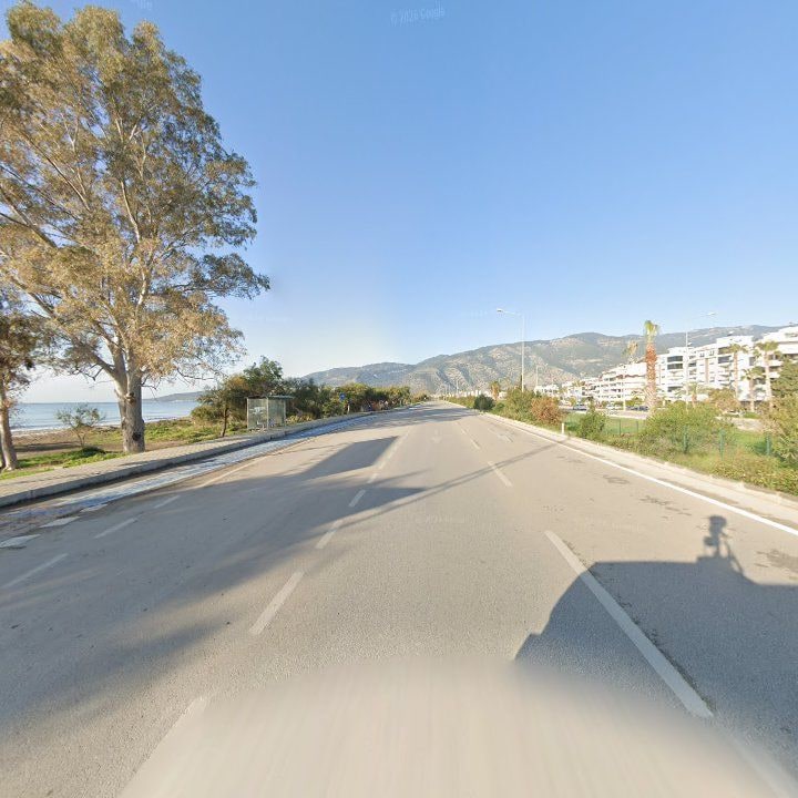 Fotoğraf 8