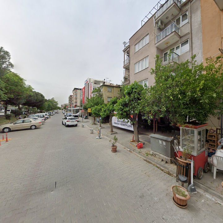 Fotoğraf 10