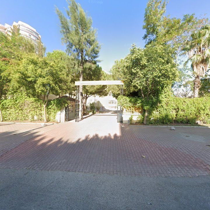 Fotoğraf 9