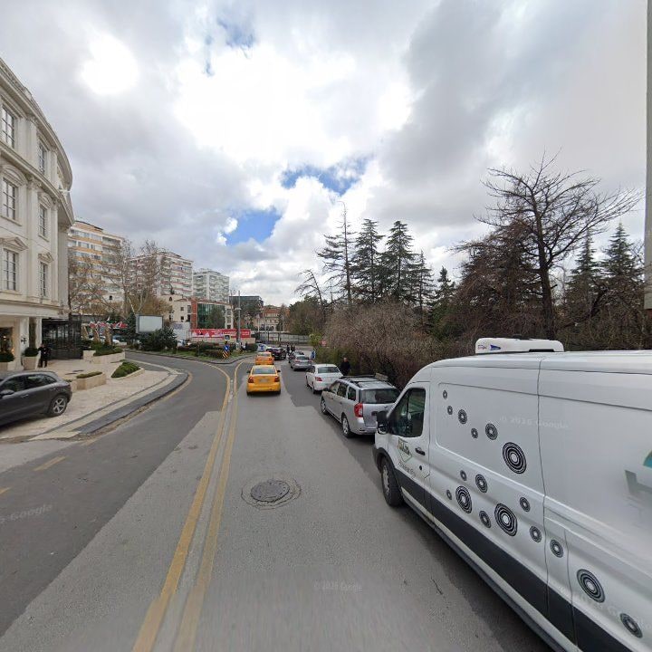 Fotoğraf 12