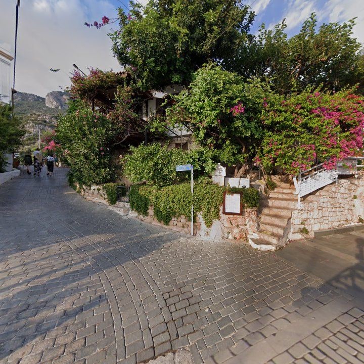 Fotoğraf 11