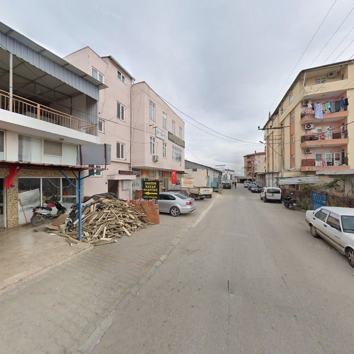 Fotoğraf 3