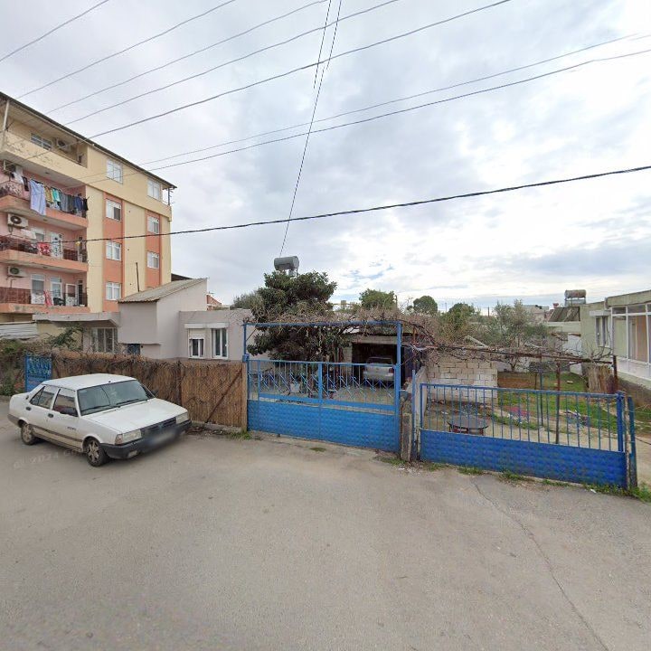 Fotoğraf 4