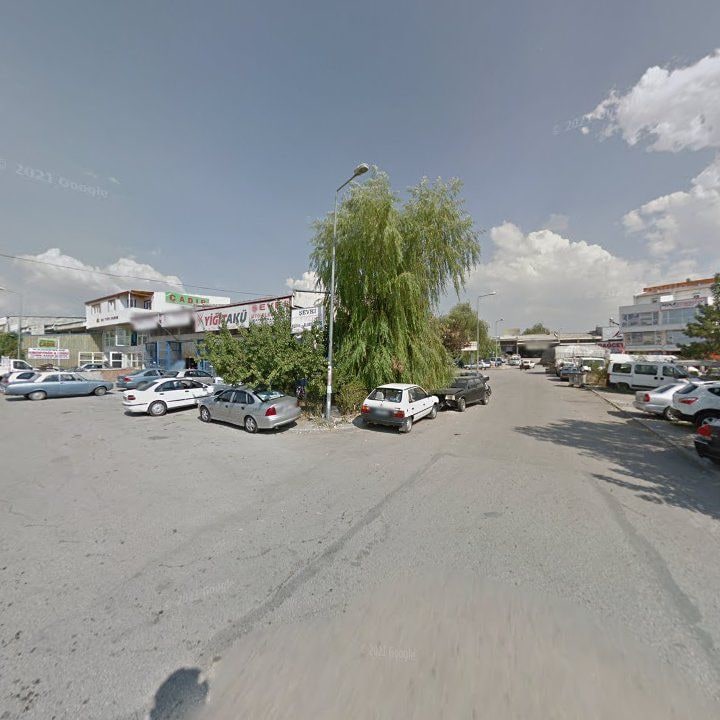 Fotoğraf 7
