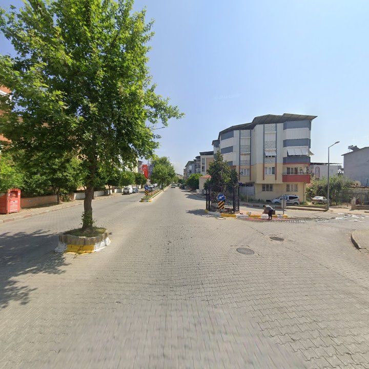 Fotoğraf 10