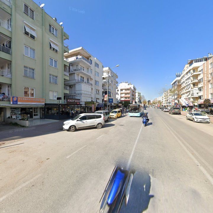 Fotoğraf 8