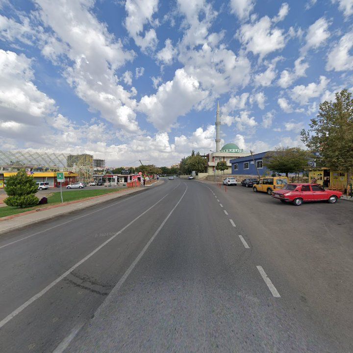 Fotoğraf 7